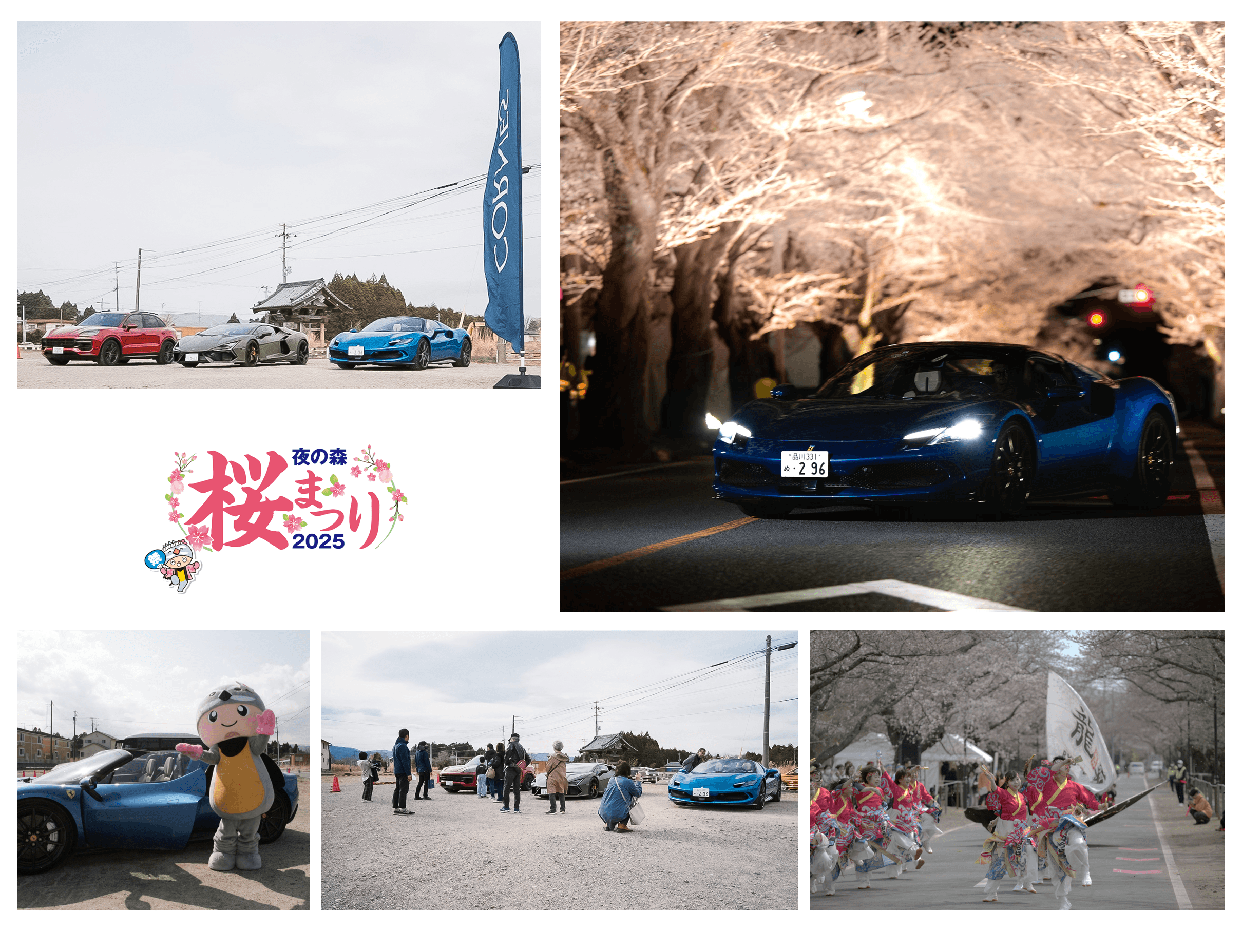 富岡町 | 夜の森 桜まつり 2025